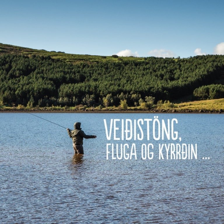 veidi_612x612-08