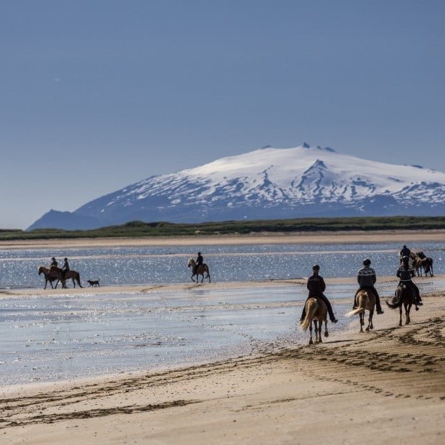 longufjorur-mark-vest-466-3