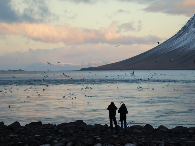Kolgrafafjörður