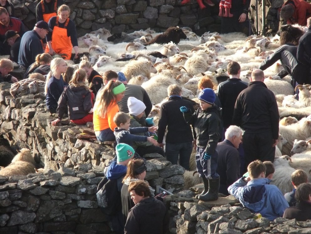 Reynisrétt undir Akrafjalli