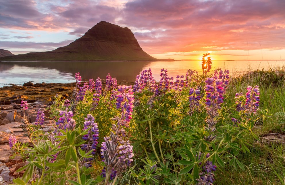 Mt. Kirkjufell