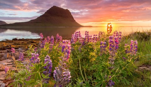 Mt. Kirkjufell